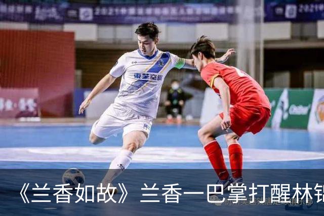《兰香如故》兰香一巴掌打醒林锦岐！才懂她为何能空手救回蕺儿