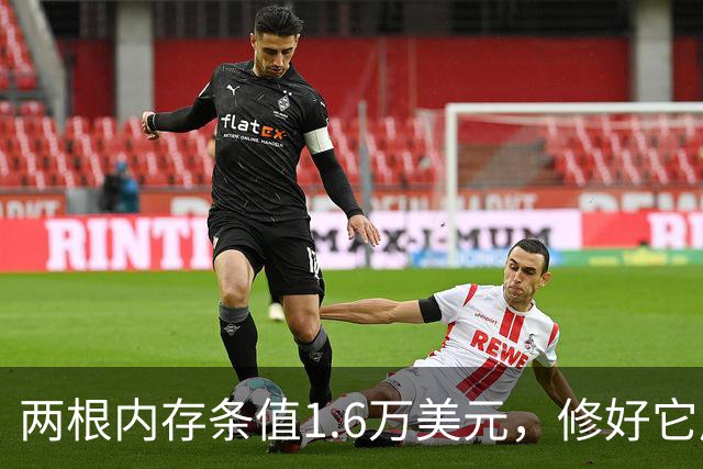 两根内存条值1.6万美元，修好它成了一门生意