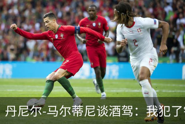 丹尼尔-马尔蒂尼谈酒驾：我犯了错，理所当然要付出代价