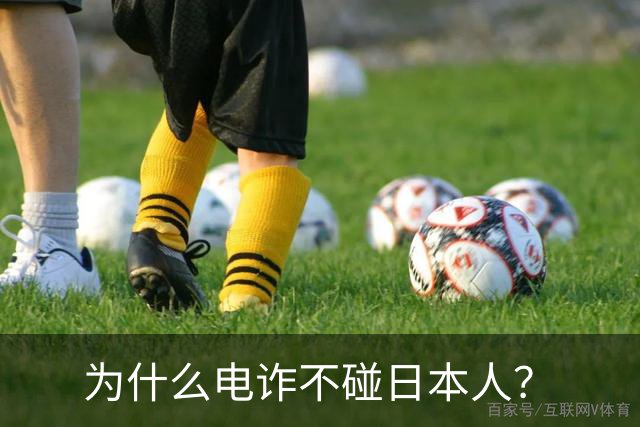 为什么电诈不碰日本人？