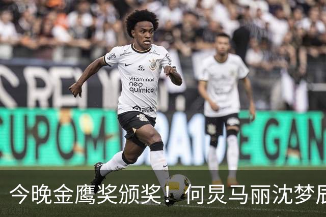 今晚金鹰奖颁奖！何炅马丽沈梦辰主持 宋佳杨紫争夺视后