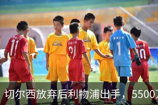 切尔西放弃后利物浦出手，5500万欧中场成目标