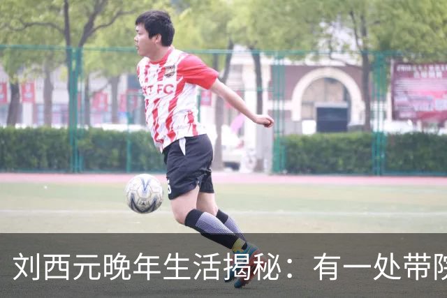 刘西元晚年生活揭秘：有一处带院子的二层小楼，自费三千元修建市场