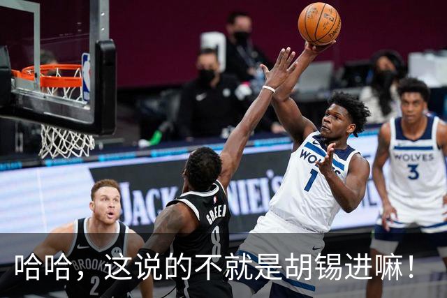哈哈，这说的不就是胡锡进嘛！