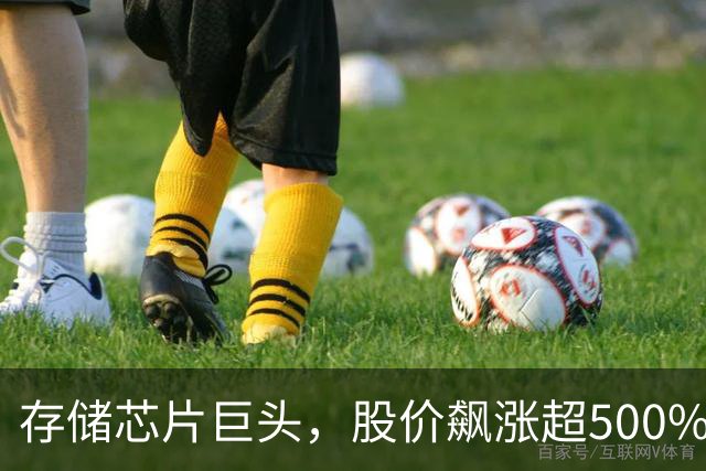 存储芯片巨头，股价飙涨超500%