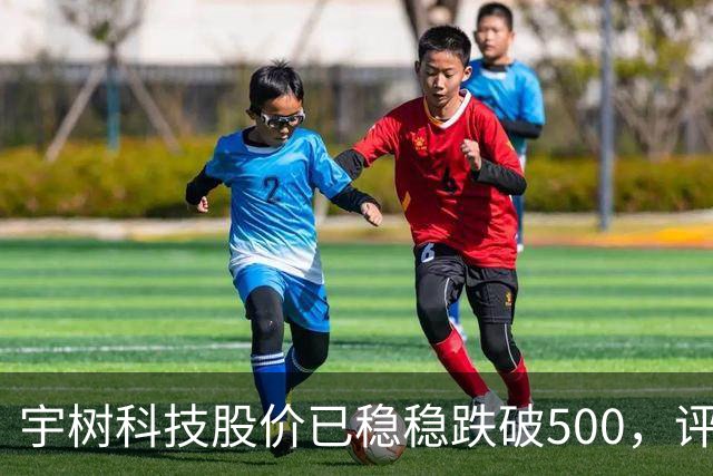 宇树科技股价已稳稳跌破500，评论区炸锅…
