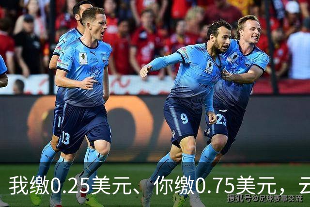 我缴0.25美元、你缴0.75美元，云图控股携手藏格矿业闯非洲：拟1美元注册公司，再掏1.7亿美元收购刚果（布）钾盐项目