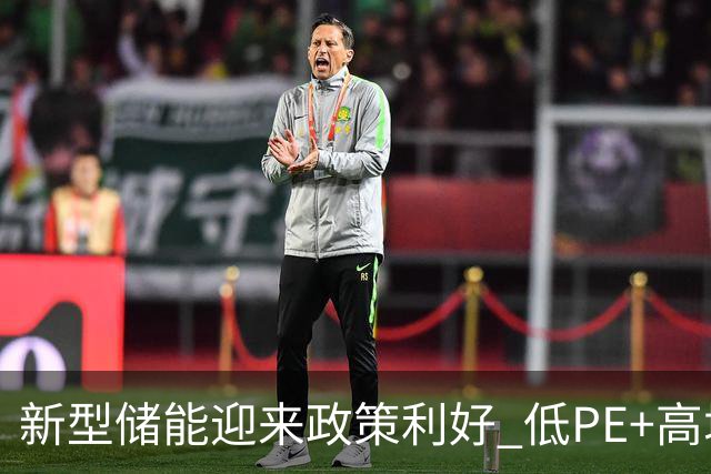 新型储能迎来政策利好 低PE+高增长潜力股出炉