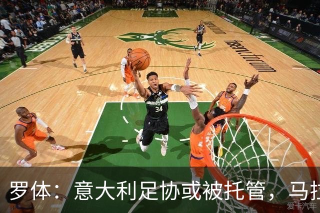 罗体：意大利足协或被托管，马拉戈可能任托管人