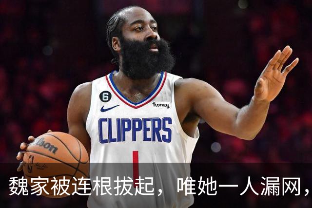 魏家被连根拔起，唯她一人漏网，“缅北双刹”魏榕究竟藏身何地？