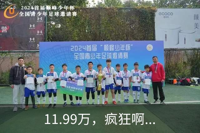 11.99万，疯狂啊...