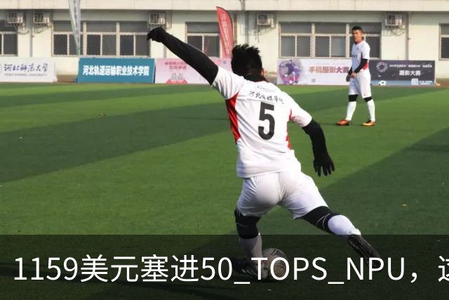 1159美元塞进50 TOPS NPU，这台16寸本有点狠