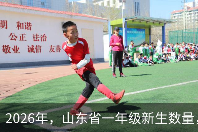 2026年，山东省一年级新生数量，减半！