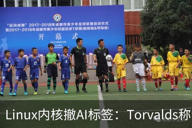 Linux内核撤AI标签：Torvalds称禁用AI愚蠢