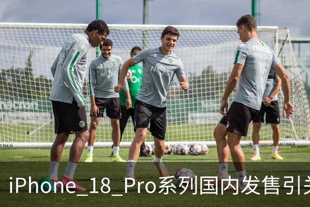 iPhone 18 Pro系列国内发售引关注，知名数据公司这样讲